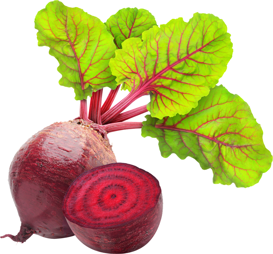 Beet Root